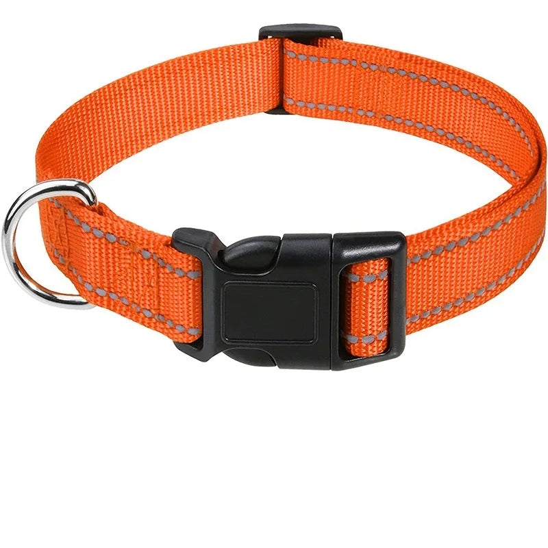 Hållbart Hundhalsband med Spänne – Justerbart och Stilrent för Valpar och Vuxna Hundar i Alla Storlekar