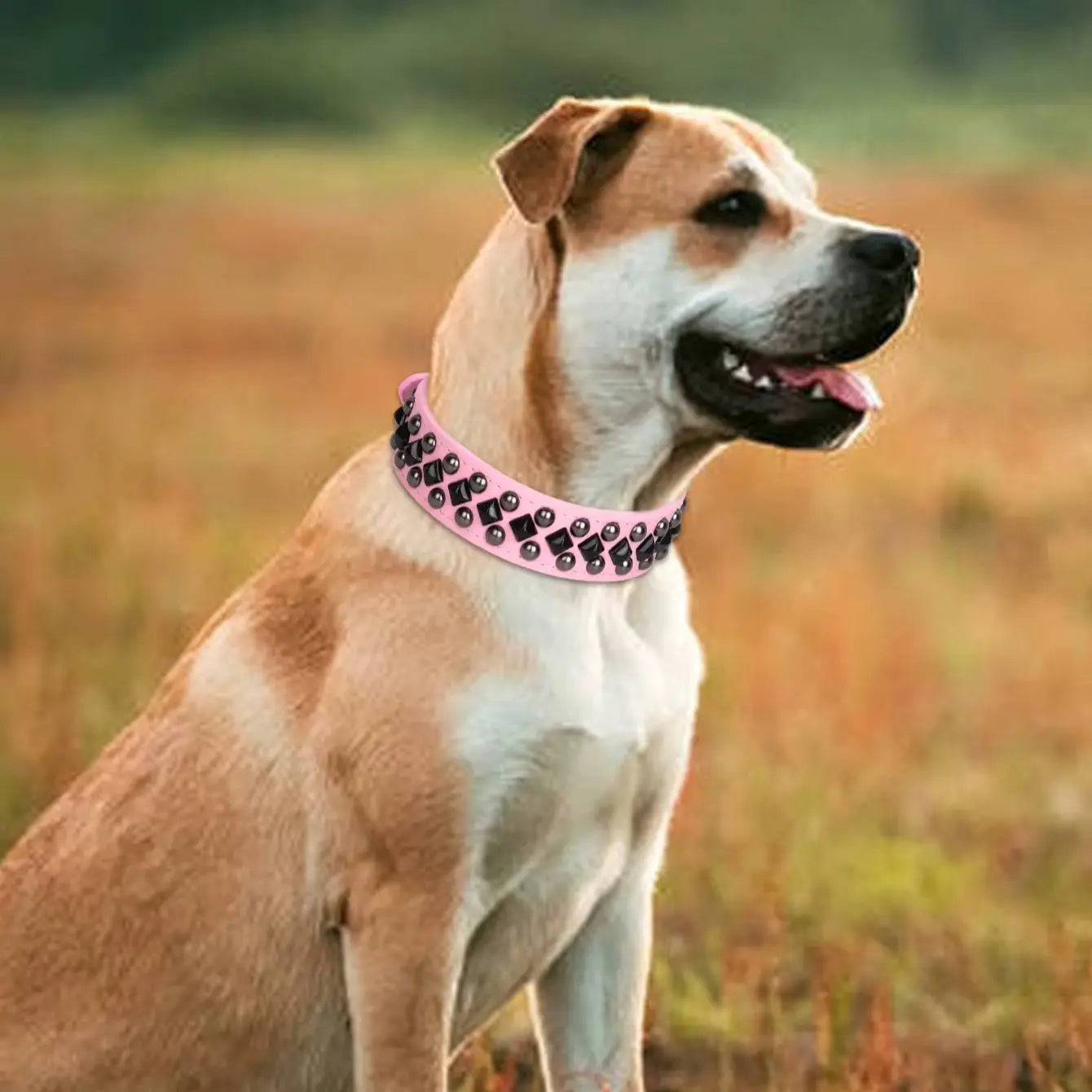 Slitstarkt Hundhalsband i PU-läder - Elegant och Tåligt Hundhalsband med Robust Design