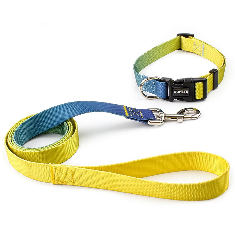 Färgglatt Hundkoppel & Halsband – Justerbart Nylonsset