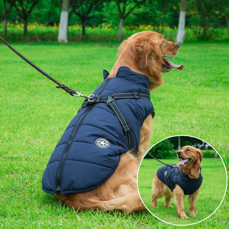 Vattentät Vinterjacka till Hund med Integrerad Sele – Varm, Bekväm och Justerbar