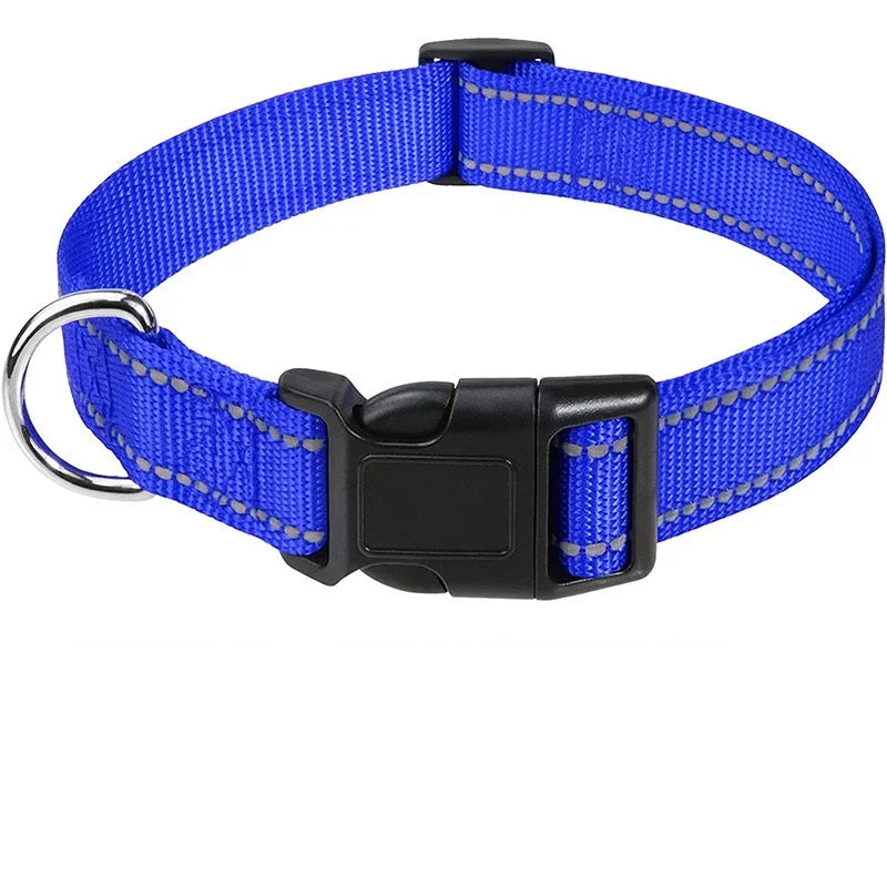 Hållbart Hundhalsband med Spänne – Justerbart och Stilrent för Valpar och Vuxna Hundar i Alla Storlekar