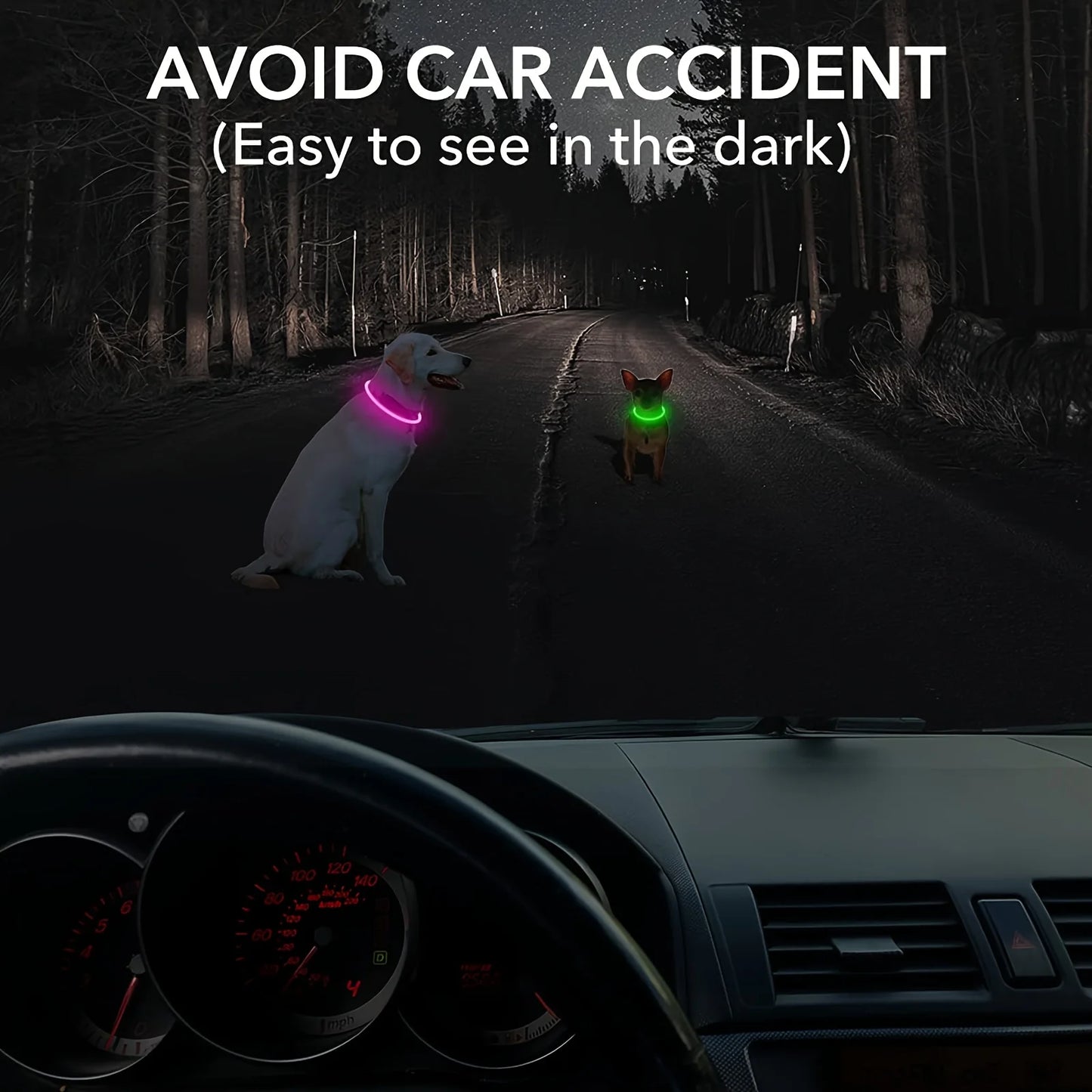 LED Hundhalsband med USB-laddning – Synlighet & Säkerhet i Mörker