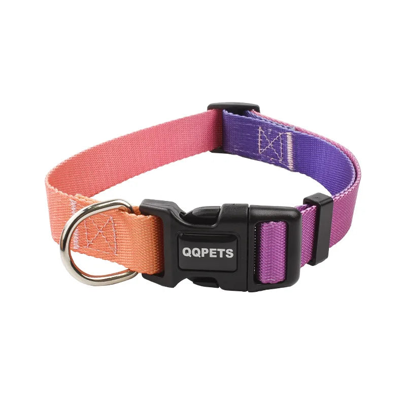 Färgglatt Hundkoppel & Halsband – Justerbart Nylonsset