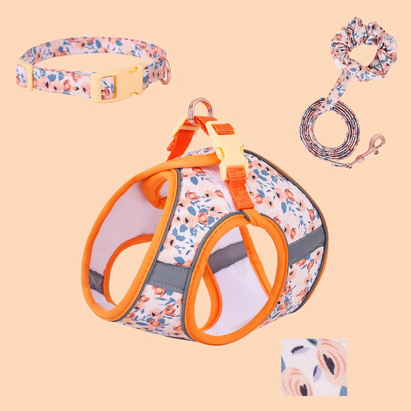 Reflexsele, Halsband och Handsfree-koppel för Hund eller Katt – Justerbar, Bekväm och Säker