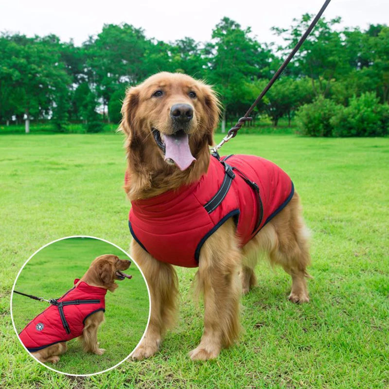 Vattentät Vinterjacka till Hund med Integrerad Sele – Varm, Bekväm och Justerbar