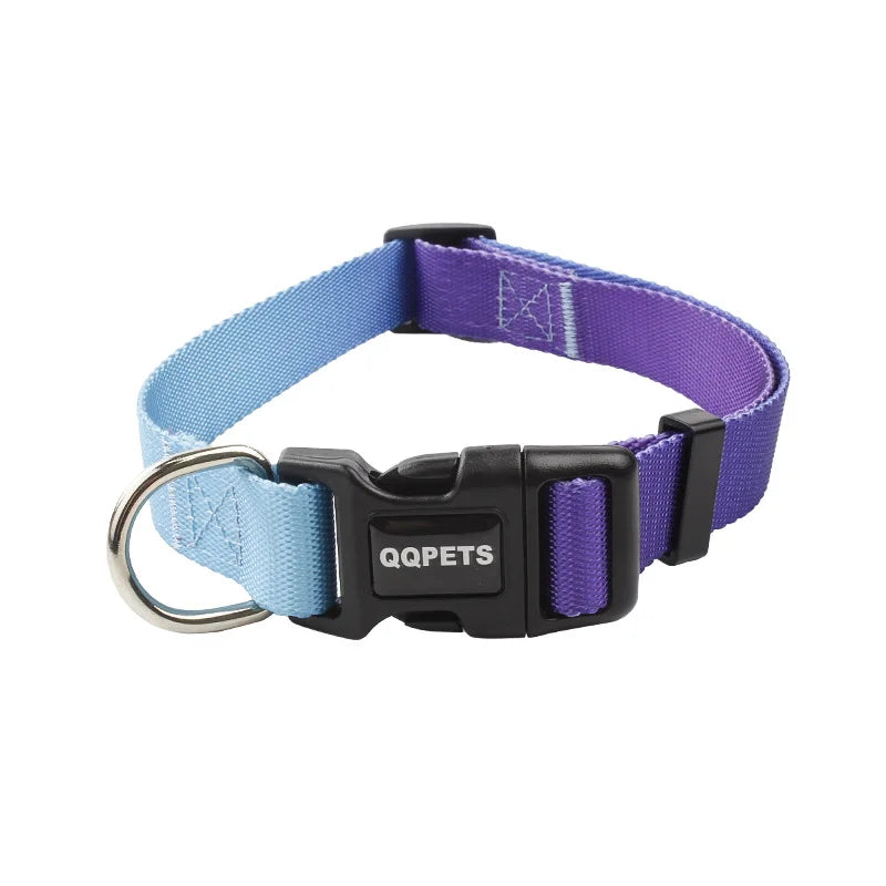 Färgglatt Hundkoppel & Halsband – Justerbart Nylonsset