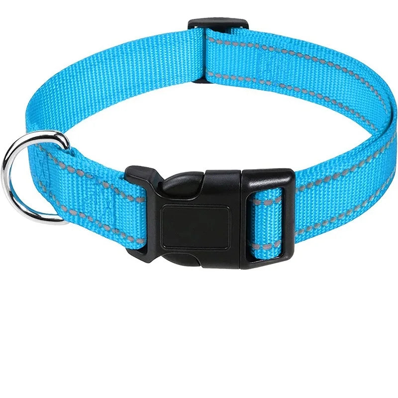 Hållbart Hundhalsband med Spänne – Justerbart och Stilrent för Valpar och Vuxna Hundar i Alla Storlekar