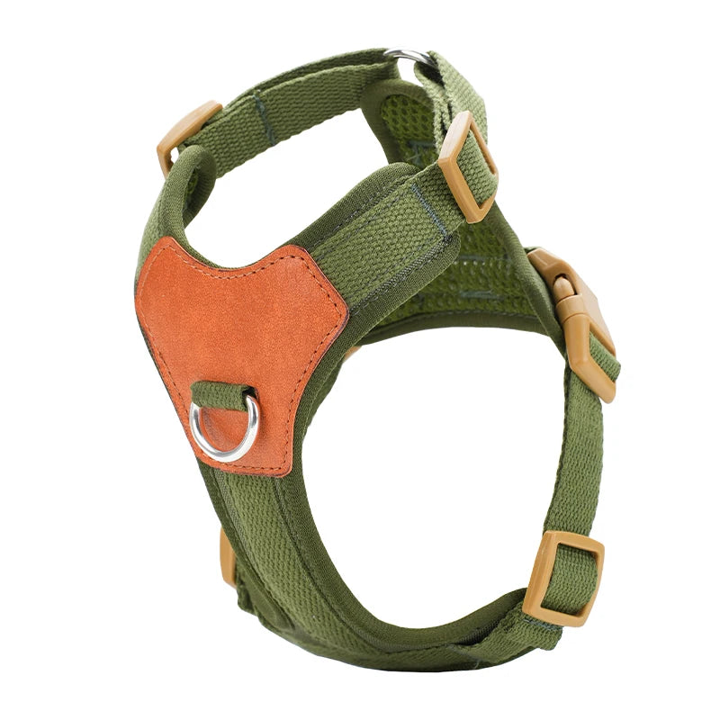Retro Hundsele i Konstläder – Stilren och Bekväm för Dagliga Promenader