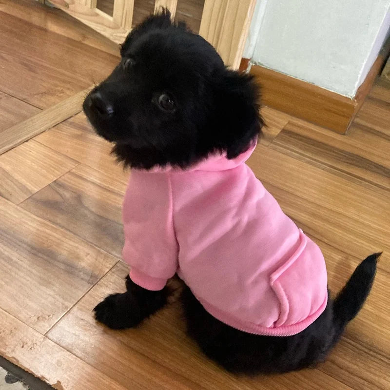 Varm Vinterhoodie för Hund – Mjuk Fleecejacka med Huva & Ficka för Små till Medelstora Raser