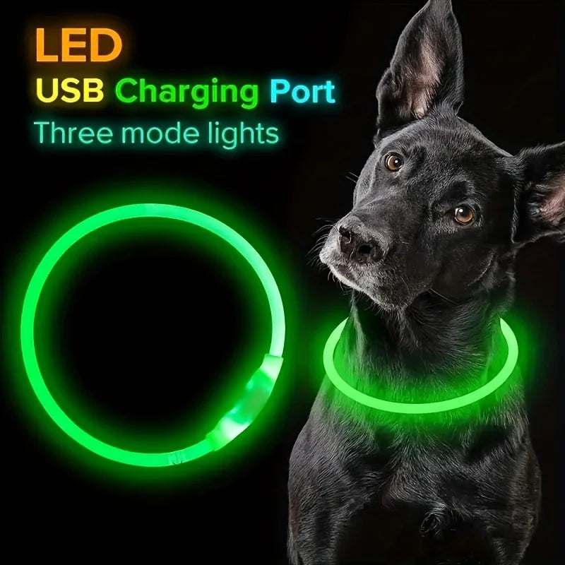 LED Hundhalsband med USB-laddning – Synlighet & Säkerhet i Mörker
