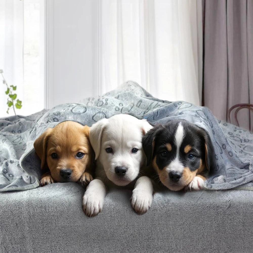 Fluffig Filt för Hund & Katt – 3 Storlekar
