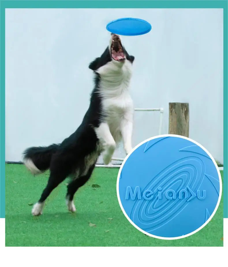 Interaktiv Hundfrisbee – Slitstark Flygande Leksak för Aktiva Hundar
