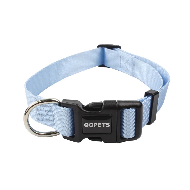 Färgglatt Hundkoppel & Halsband – Justerbart Nylonsset