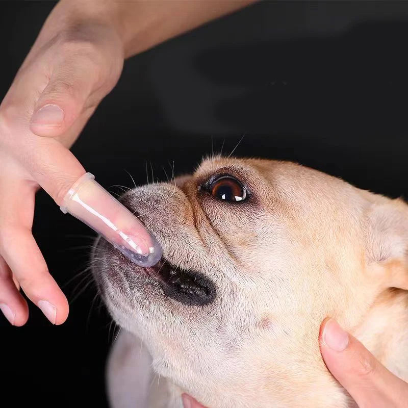 Mjuk Silikon Fingerborste för Husdjur – Skonsam & Effektiv Tandvård för Hund & Katt
