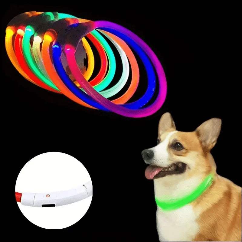LED Hundhalsband med USB-laddning – Synlighet & Säkerhet i Mörker