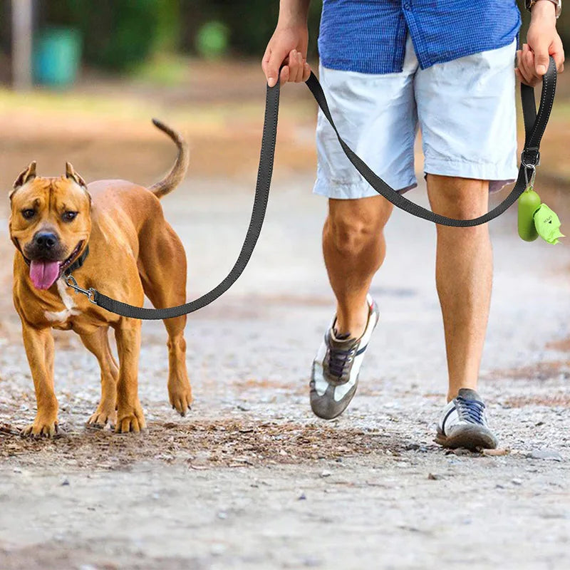 Reflekterande Koppel för Hund & Katt – Slitstarkt Polyester för Promenad & Träning