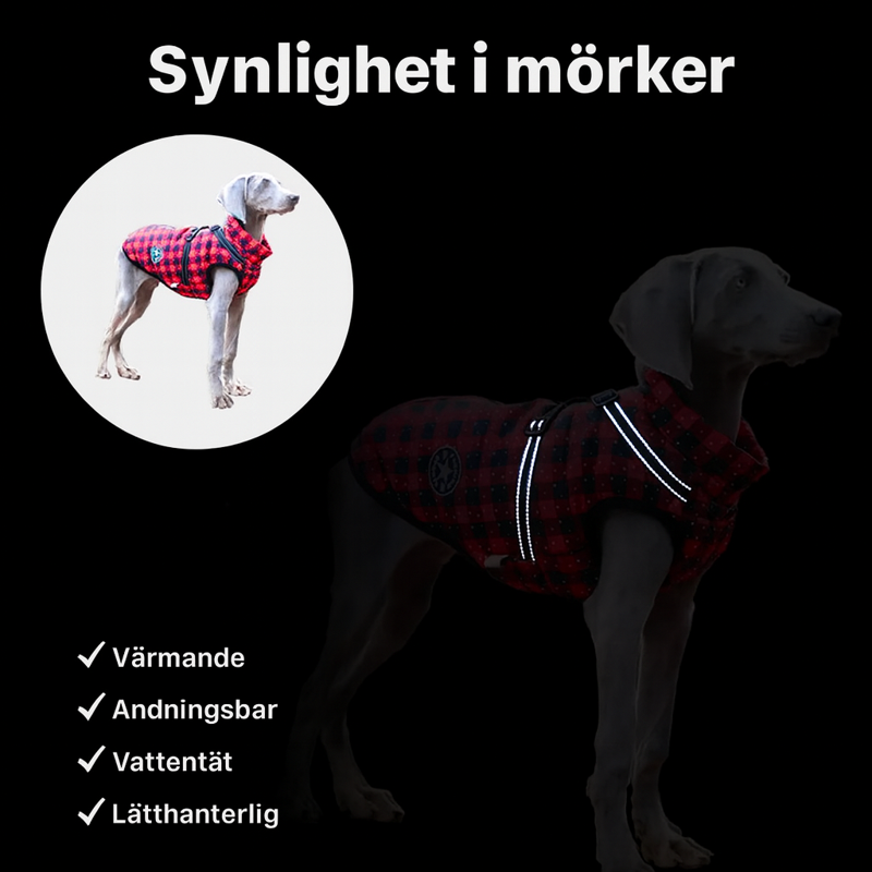 Vattentät Vinterjacka till Hund med Integrerad Sele – Varm, Bekväm och Justerbar