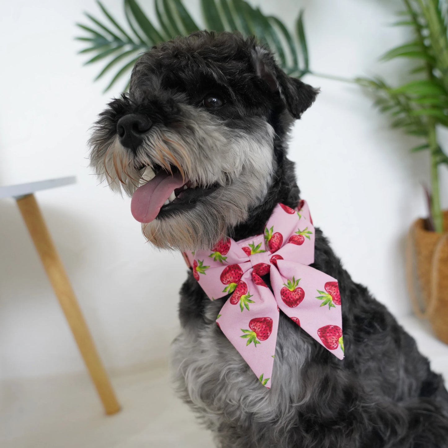 handgjort hundhalsband i bomull med avtagbar blomma och rosegulds-spänne