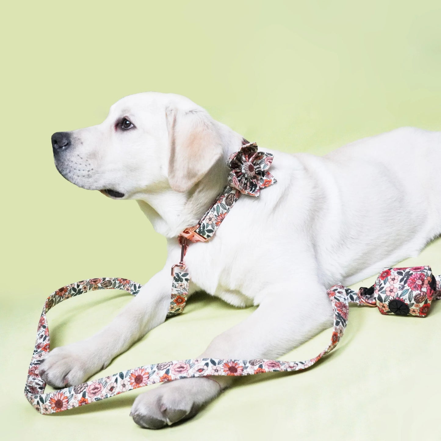 handgjort hundhalsband i boho blommigt mönster med avtagbar blomma