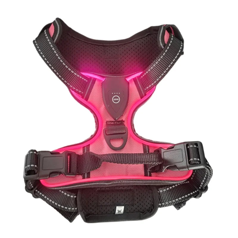 innovativ led-sele för hund med reflekterande sömmar och tre ljuslägen