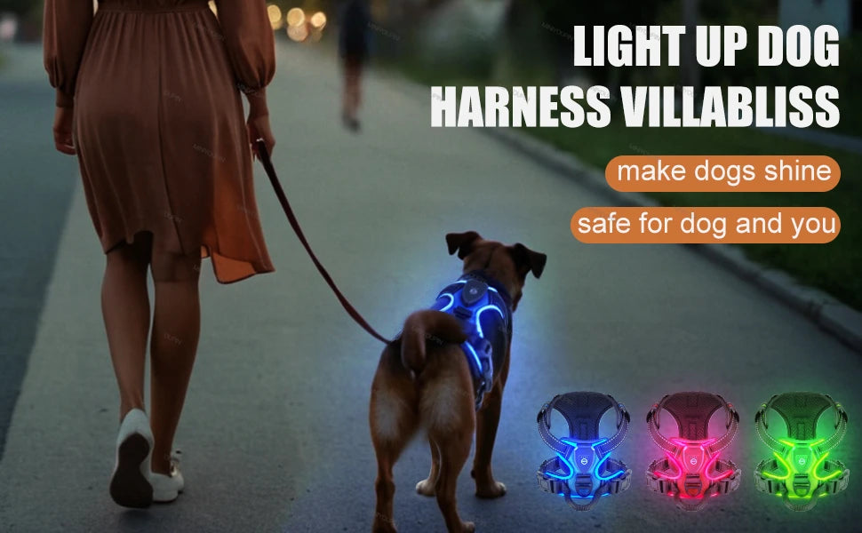 innovativ led-sele för hund med reflekterande sömmar och tre ljuslägen