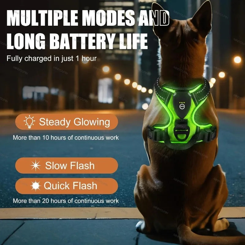 innovativ led-sele för hund med reflekterande sömmar och tre ljuslägen