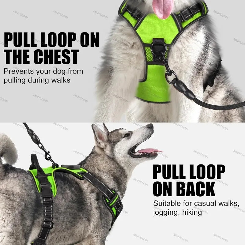 innovativ led-sele för hund med reflekterande sömmar och tre ljuslägen