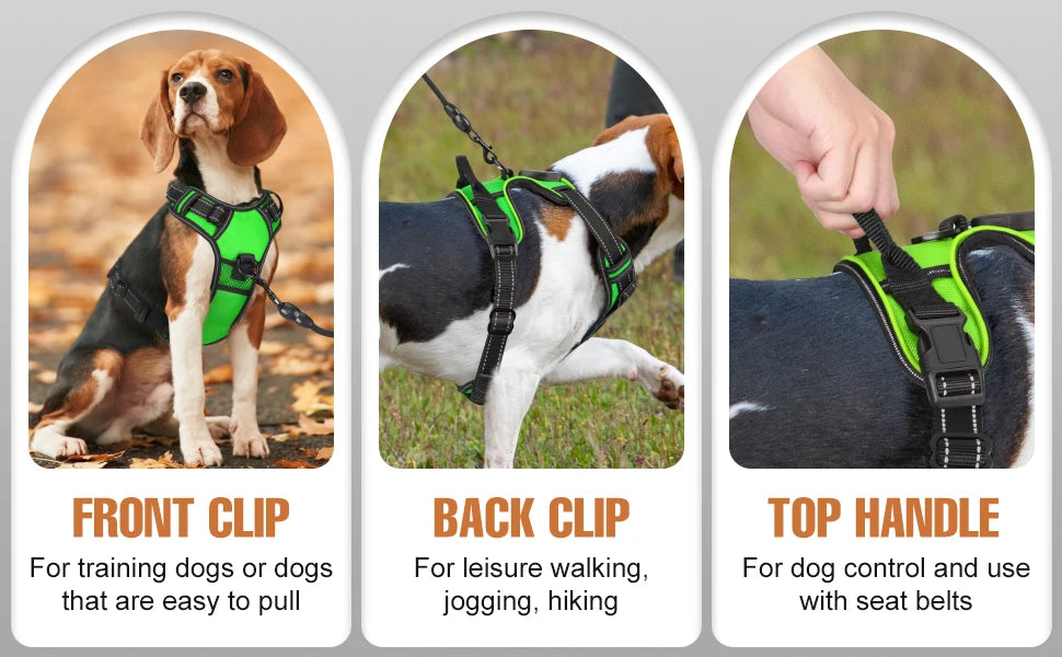 innovativ led-sele för hund med reflekterande sömmar och tre ljuslägen