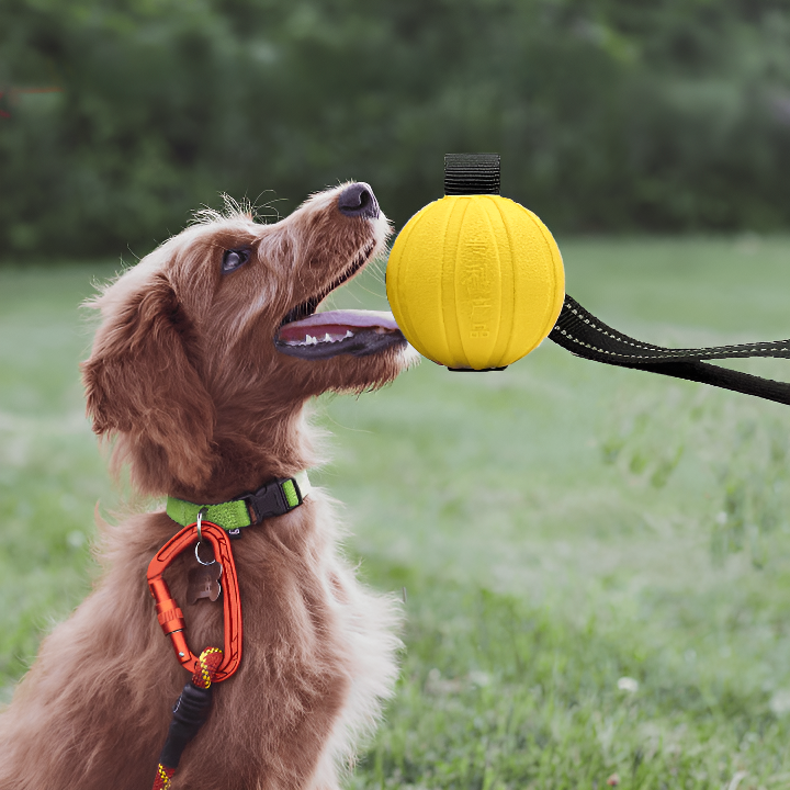 Hundboll med Rep – Flytande Slitstark Träningsleksak för Hundar