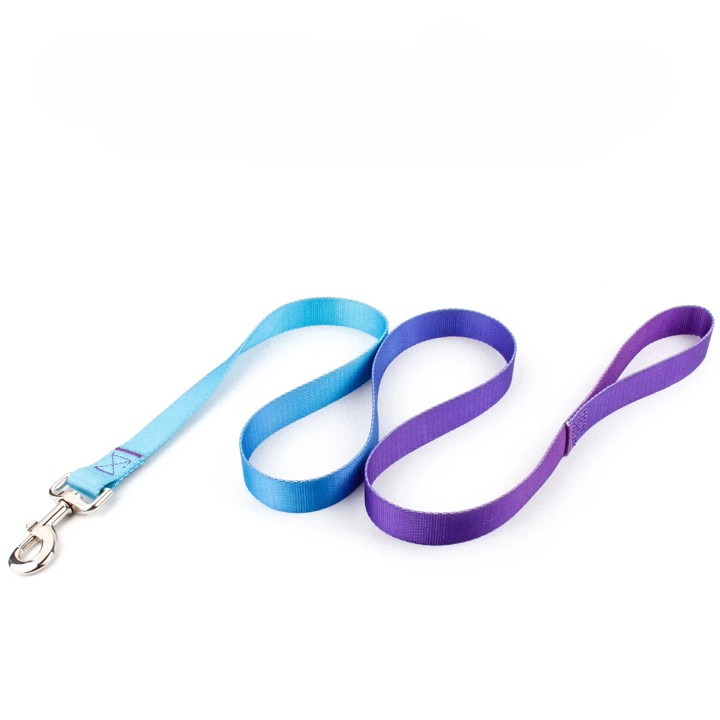 Färgglatt Hundkoppel & Halsband – Justerbart Nylonsset
