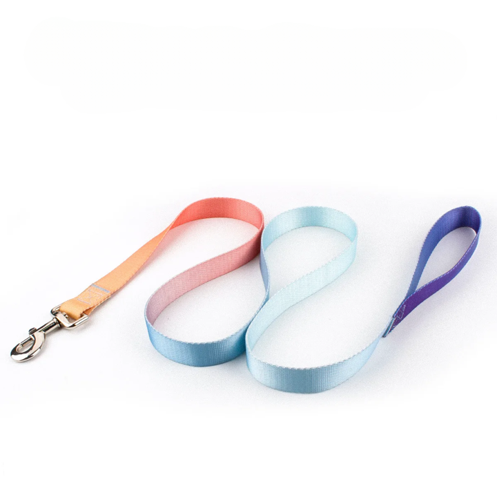 Färgglatt Hundkoppel & Halsband – Justerbart Nylonsset