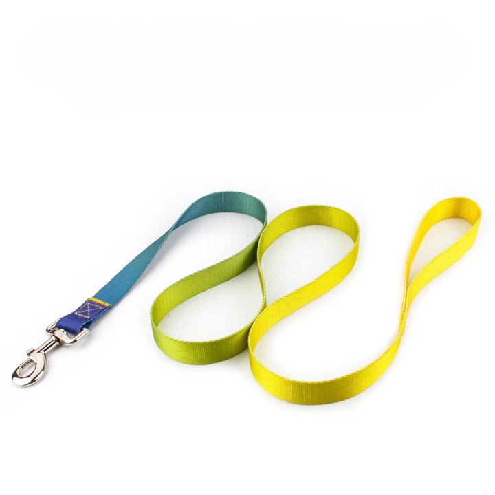 Färgglatt Hundkoppel & Halsband – Justerbart Nylonsset
