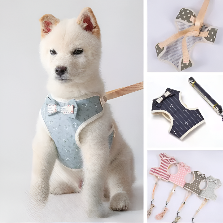 Stilren och Söt Hundsele och Koppelset med Rosett – Vadderad och Bekväm Sele i Mesh