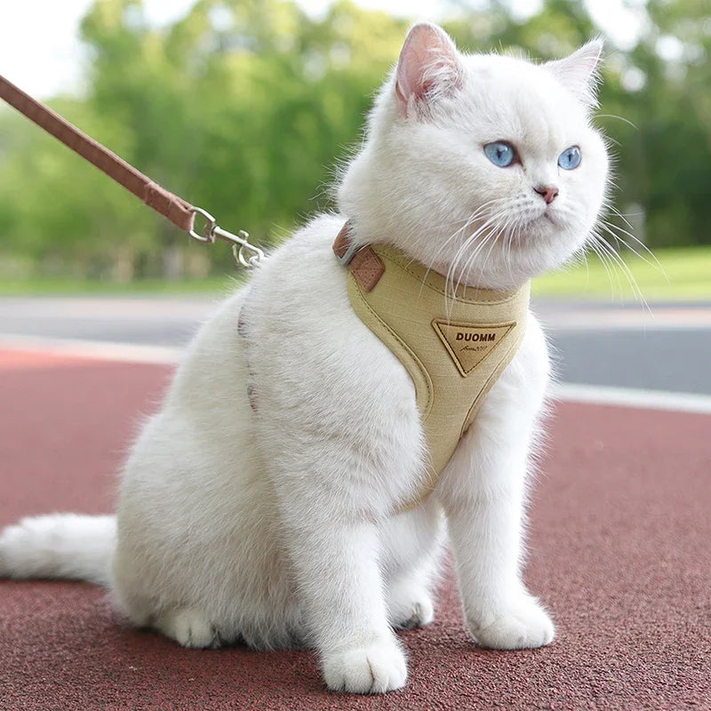 sele och koppelset för hund och katt i andningsbar västmodell