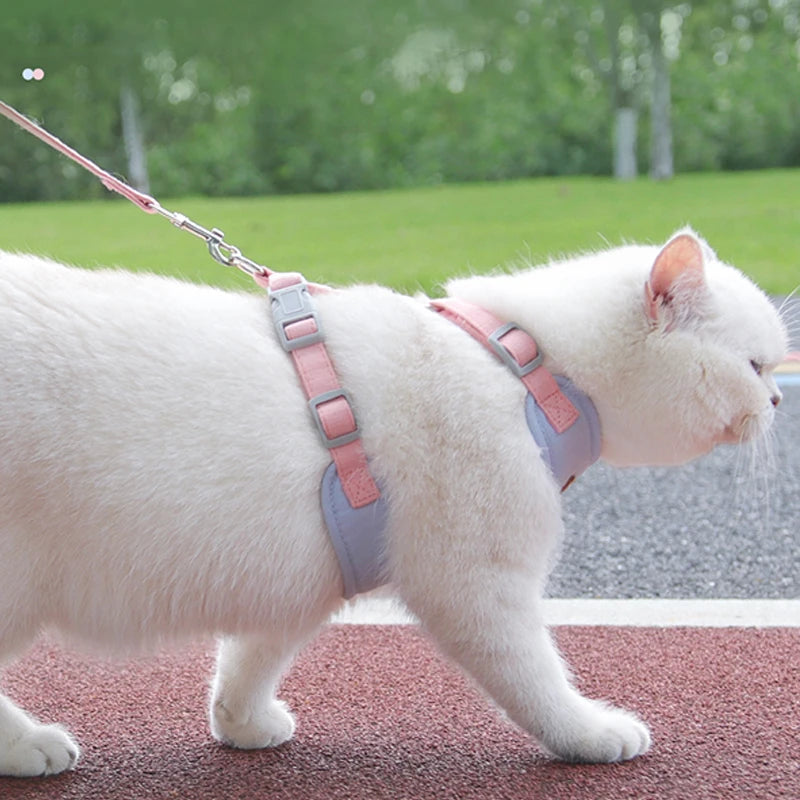 sele och koppelset för hund och katt i andningsbar västmodell