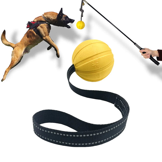 Hundboll med Rep – Flytande Slitstark Träningsleksak för Hundar