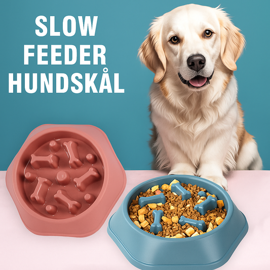 Interaktiv slow feeder skål i tre nivåer för hund som bromsar ätandet och ger mental stimulans
