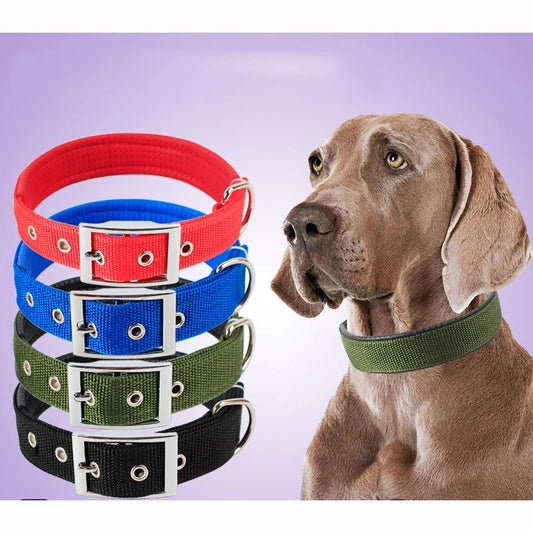 Slitstarkt Nylonhalsband för Hund – Justerbart & Bekvämt för Alla Storleka