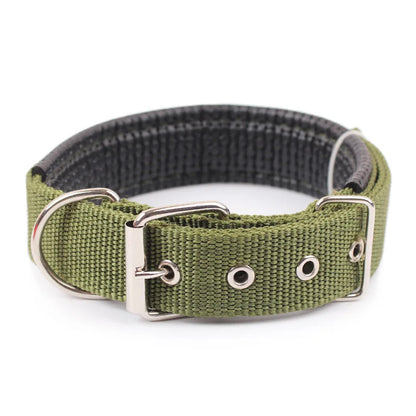Slitstarkt Nylonhalsband för Hund – Justerbart & Bekvämt för Alla Storleka