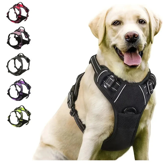 Hundsele i Västmodell – Stilren & Bekväm för Små till Medelstora Hundar