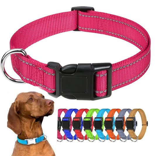 Hållbart Hundhalsband med Spänne – Justerbart och Stilrent för Valpar och Vuxna Hundar i Alla Storlekar