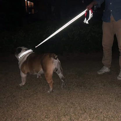 Reflekterande Koppel för Hund & Katt – Slitstarkt Polyester för Promenad & Träning