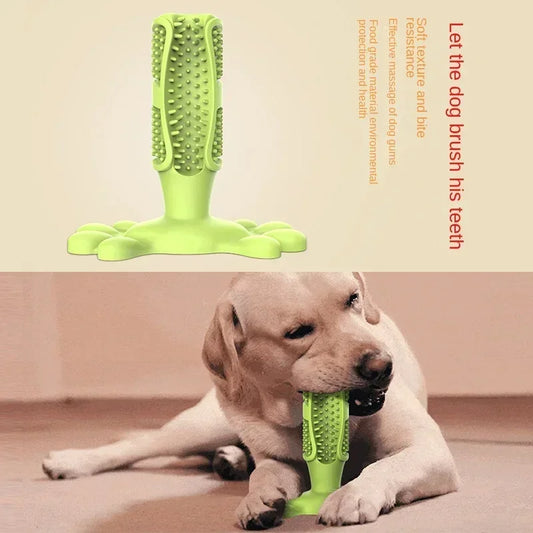 Interaktiv Tuggleksak för Hund – Tandborstleksak i Gummi med Godisdispenser