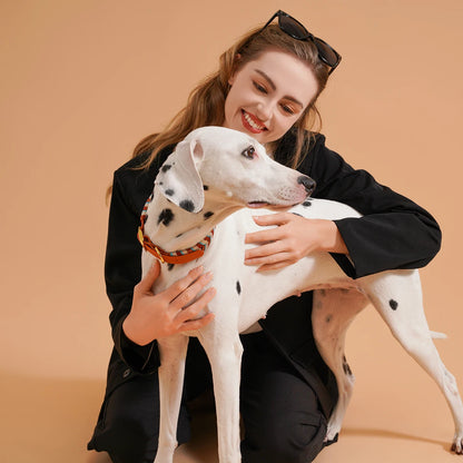 Exklusivt Handvävt Hundhalsband – Färgstark, Stilren & Justerbar Design