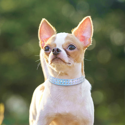 Stilrent Halsband med Glittrande Kristaller för Små Hundar och Katter