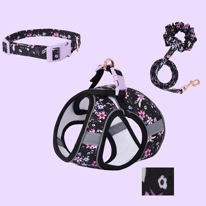 Reflexsele, Halsband och Handsfree-koppel för Hund eller Katt – Justerbar, Bekväm och Säker