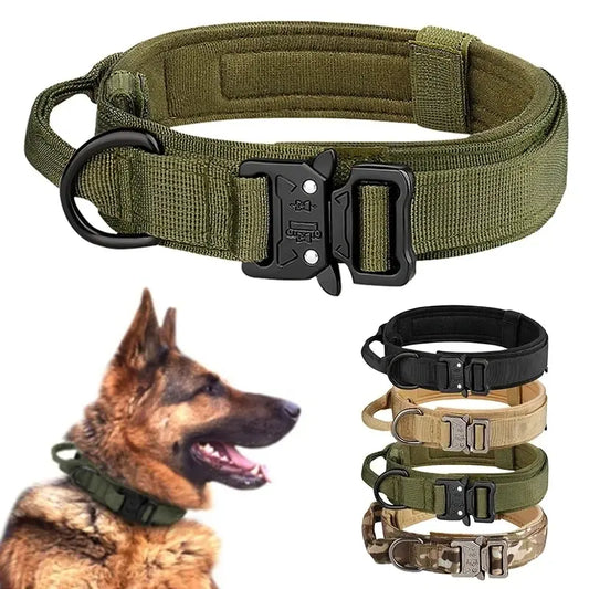 Taktiskt Hundhalsband i Slitstarkt Nylon – Justerbart med Metallspänne för Träning & Aktivitet