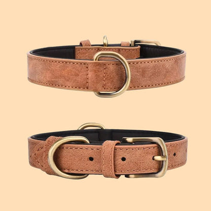 Hundhalsband i Vintagestil – Stilfullt och Tidlöst för Din Hund