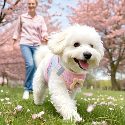 Andasvänlig Hund- och Kattssele med Reflex – Justerbar Meshväst med Koppel för Små och Medelstora Djur