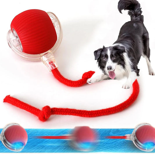 Elektrisk Interaktiv Boll för Katt och Hund – Smart Rullande Husdjursleksak med USB